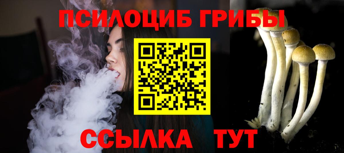 Галлюциногенные грибы Magic Shrooms  Галлюциногенные грибы Psilocybe  купить наркотик  Острогожск  Вход с VPN 